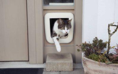 Comment installer une chatière sans percer ?