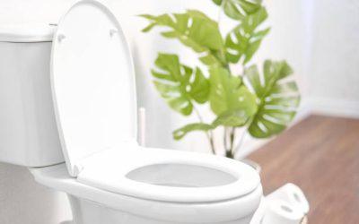Évent WC : rôle, fonctionnement et importance pour une installation saine